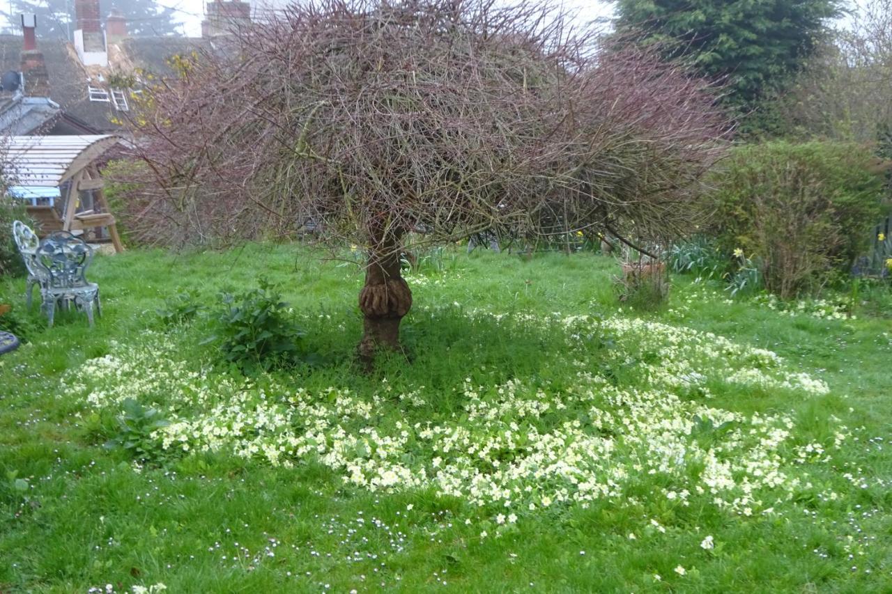Wheelwrights Bed & Breakfast Abbotsbury Bagian luar foto